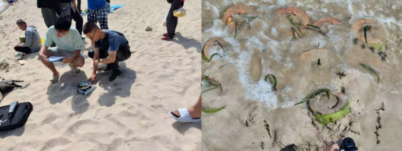 9428cn太阳集团古天乐